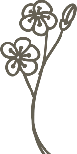 Иллюстрация к книге — Глиняные сердца [i_013.webp]