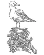 Иллюстрация к книге — Ведьма правды [i_018.webp]