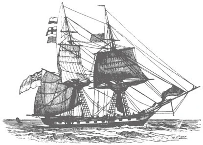 Иллюстрация к книге — Ведьма правды [i_041.webp]