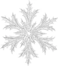 Иллюстрация к книге — Принц льда и крови [i_090.webp]