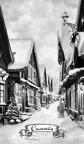 Иллюстрация к книге — Принцесса ветра и мести [i_006.webp]