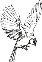 Иллюстрация к книге — Король Вечности [i_005.webp]