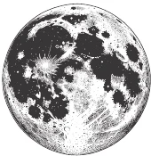 Иллюстрация к книге — Ночь масок и ножей [i_077.webp]