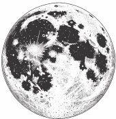 Иллюстрация к книге — Ночь масок и ножей [i_091.webp]