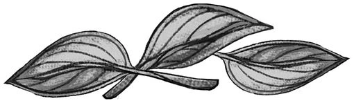 Иллюстрация к книге — Мы придём из видений и снов [i_001.webp]