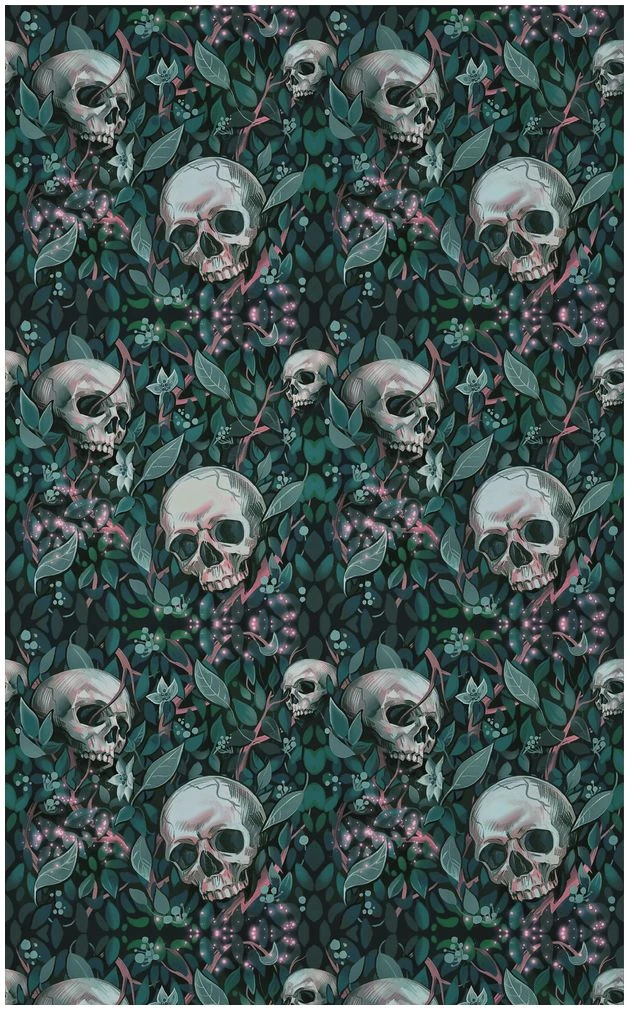 Иллюстрация к книге — Мы придём из видений и снов [i_008.webp]