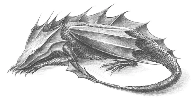 Иллюстрация к книге — Право на дом [i_004.webp]