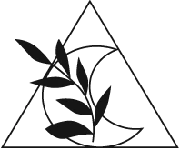 Иллюстрация к книге — Предание о лисьих следах [i_017.webp]