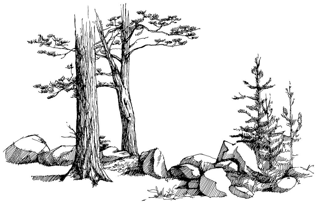 Иллюстрация к книге — Легенда об Эльфийской Погибели [i_004.webp]