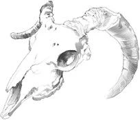 Иллюстрация к книге — Цукумогами. Невидимые беды [i_010.webp]