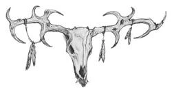 Иллюстрация к книге — Безмолвный Крик [i_003.webp]