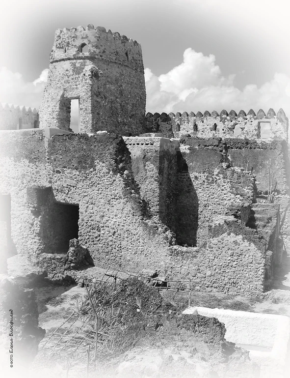 Иллюстрация к книге — Танзания без тормозов, или Вынос мозга по-африкански. Записки путешественника [book-illustration-13.webp]