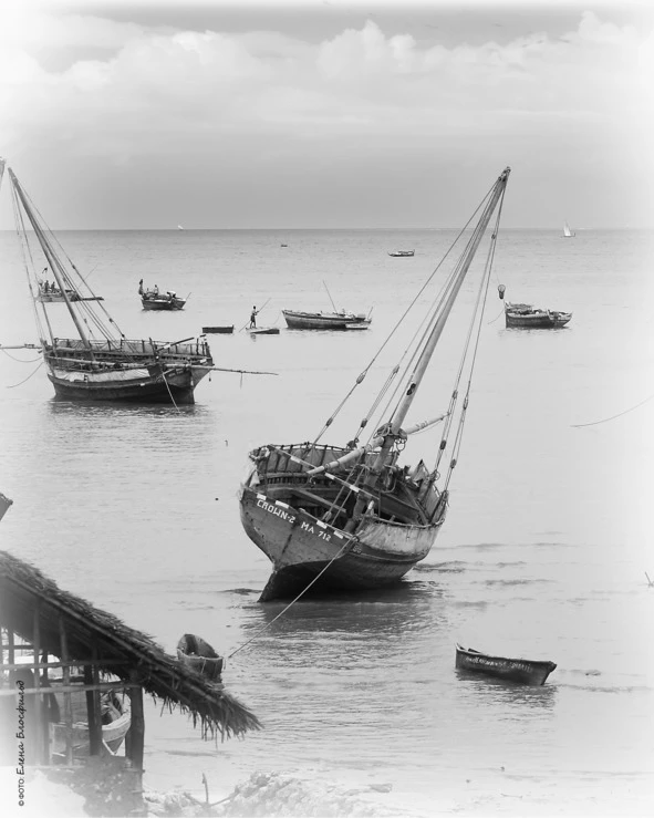 Иллюстрация к книге — Танзания без тормозов, или Вынос мозга по-африкански. Записки путешественника [book-illustration-15.webp]