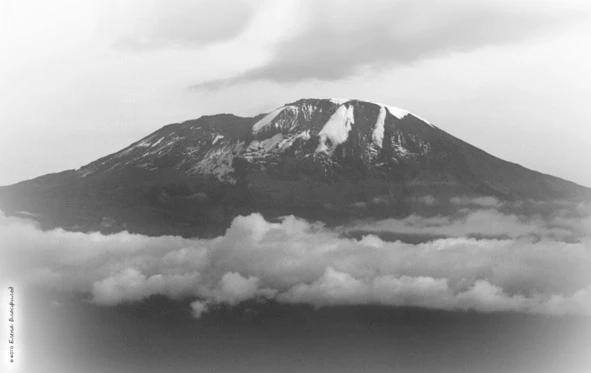 Иллюстрация к книге — Танзания без тормозов, или Вынос мозга по-африкански. Записки путешественника [book-illustration-30.webp]