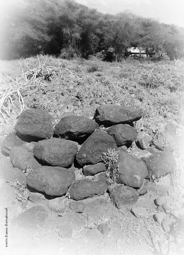 Иллюстрация к книге — Танзания без тормозов, или Вынос мозга по-африкански. Записки путешественника [book-illustration-38.webp]