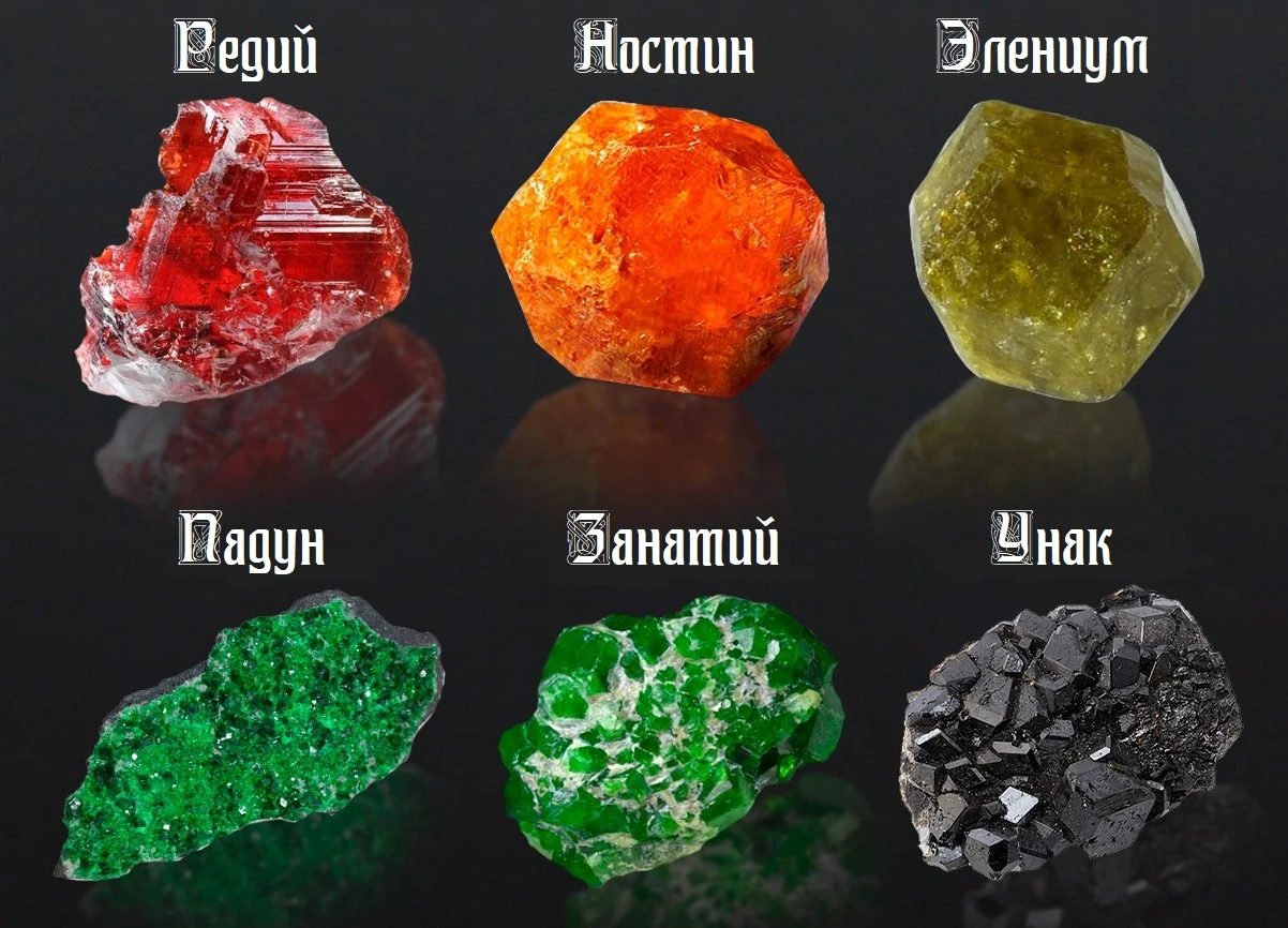 Иллюстрация к книге — Трусливая Я и решительный Боха [book-illustration-16.webp]