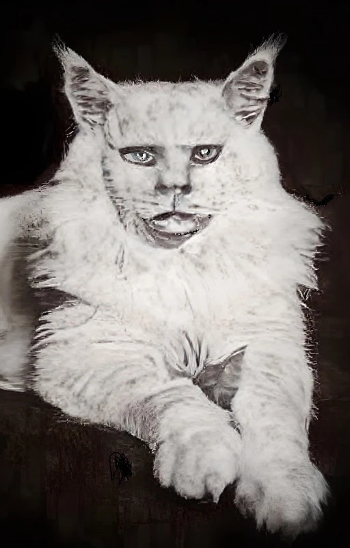 Иллюстрация к книге — Трусливая Я и решительный Боха [book-illustration-6.webp]