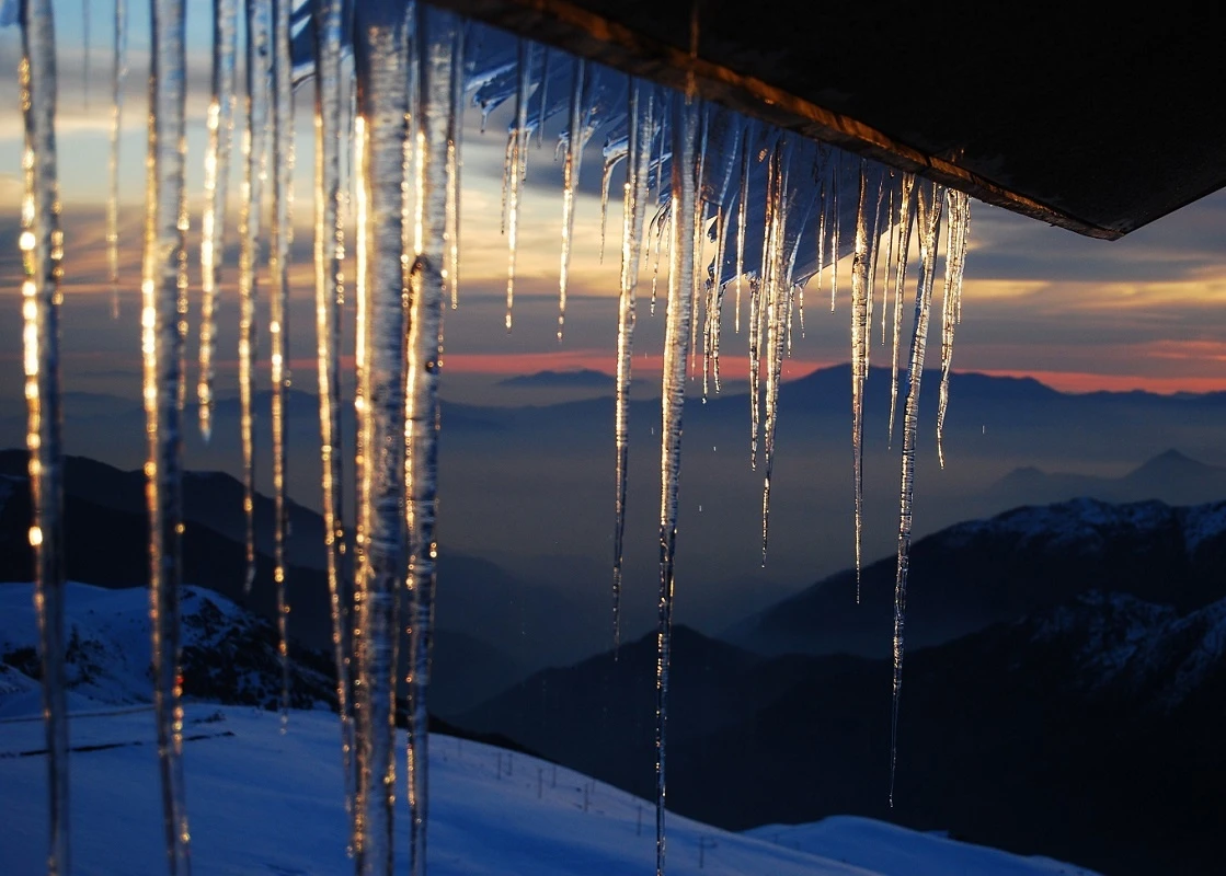 Иллюстрация к книге — Трусливая Я и решительный Боха [book-illustration-9.webp]