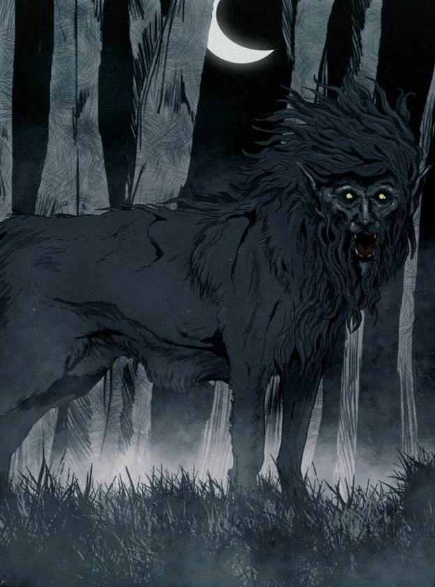 Иллюстрация к книге — Рассказы 14. Потёмки [i_006.webp]