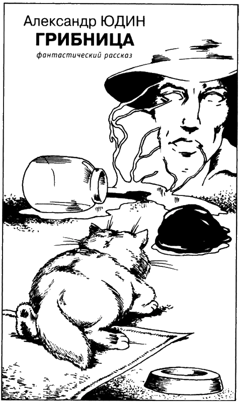 Иллюстрация к книге — Искатель, 2006 № 12 [i_006.webp]