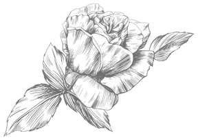 Иллюстрация к книге — Этот безумный пролог никогда не закончится. Том 1 [i_010.webp]