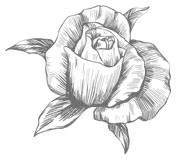 Иллюстрация к книге — Этот безумный пролог никогда не закончится. Том 1 [i_011.webp]