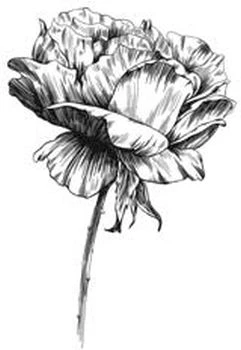 Иллюстрация к книге — Этот безумный пролог никогда не закончится. Том 2 [i_003.webp]