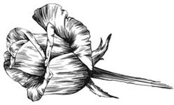 Иллюстрация к книге — Этот безумный пролог никогда не закончится. Том 2 [i_004.webp]