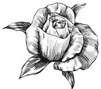 Иллюстрация к книге — Этот безумный пролог никогда не закончится. Том 2 [i_007.webp]