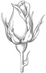 Иллюстрация к книге — Этот безумный пролог никогда не закончится. Том 3 [i_001.webp]