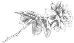 Иллюстрация к книге — Этот безумный пролог никогда не закончится. Том 3 [i_007.webp]