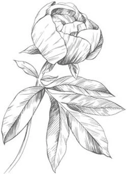 Иллюстрация к книге — Этот безумный пролог никогда не закончится. Том 3 [i_011.webp]