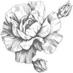 Иллюстрация к книге — Этот безумный пролог никогда не закончится. Том 3 [i_012.webp]