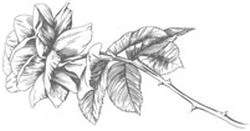 Иллюстрация к книге — Этот безумный пролог никогда не закончится. Том 3 [i_017.webp]