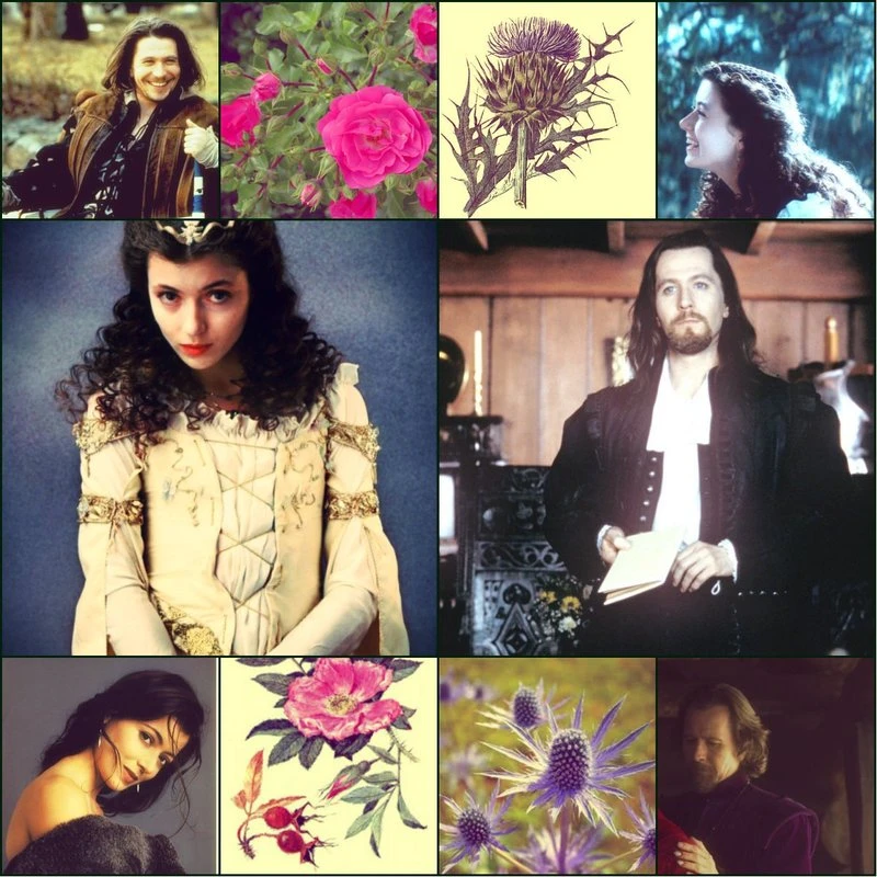 Иллюстрация к книге — Зеркало королевы Мирабель [book-illustration-1.webp]