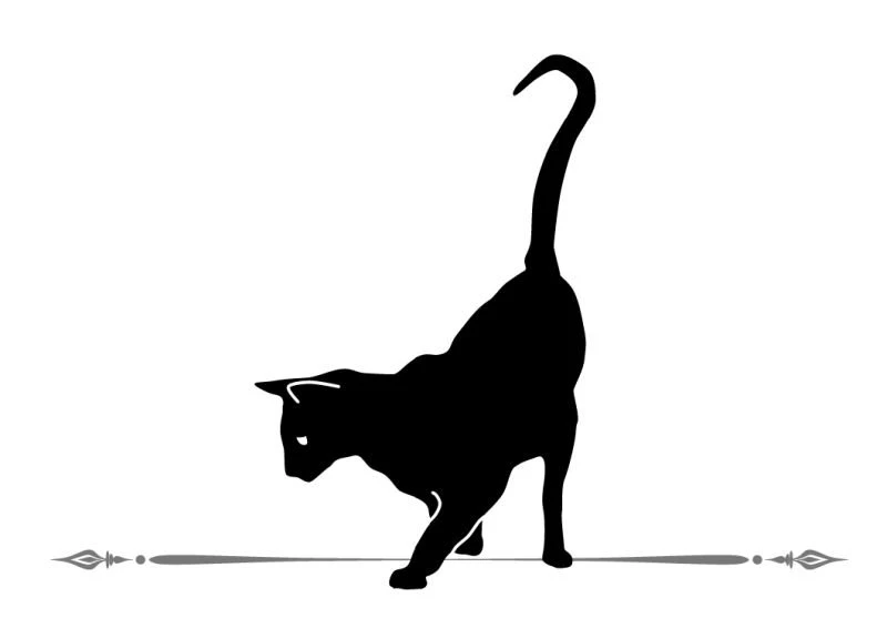 Иллюстрация к книге — Расследования графа Аверина. Комплект из 3 книг [i_003.webp]