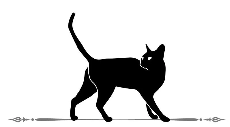 Иллюстрация к книге — Расследования графа Аверина. Комплект из 3 книг [i_004.webp]