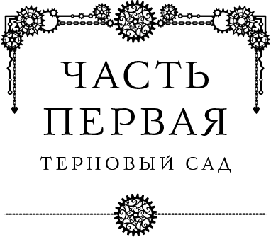 Иллюстрация к книге — Проклятие дома Грезецких [i_004.webp]