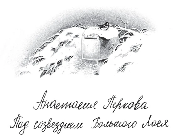 Иллюстрация к книге — Зимняя почта [book-illustration-4.webp]