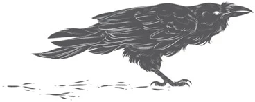 Иллюстрация к книге — Кровь Дома Базаард [book-illustration-6.webp]