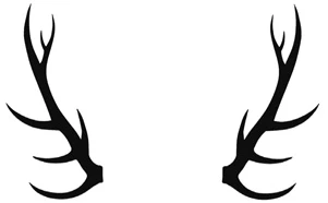 Иллюстрация к книге — Солнце в силках [i_005.webp]