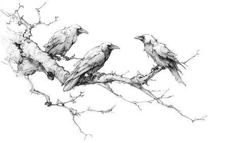 Иллюстрация к книге — Ведьма Вороньего леса [i_043.webp]