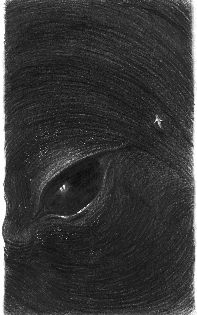 Иллюстрация к книге — Собор темных тайн [i_006.webp]