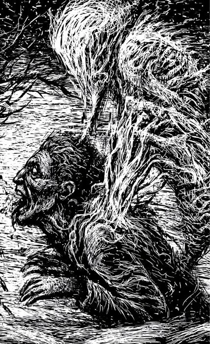 Иллюстрация к книге — Снег [book-illustration-11.webp]