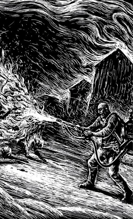 Иллюстрация к книге — Снег [book-illustration-13.webp]