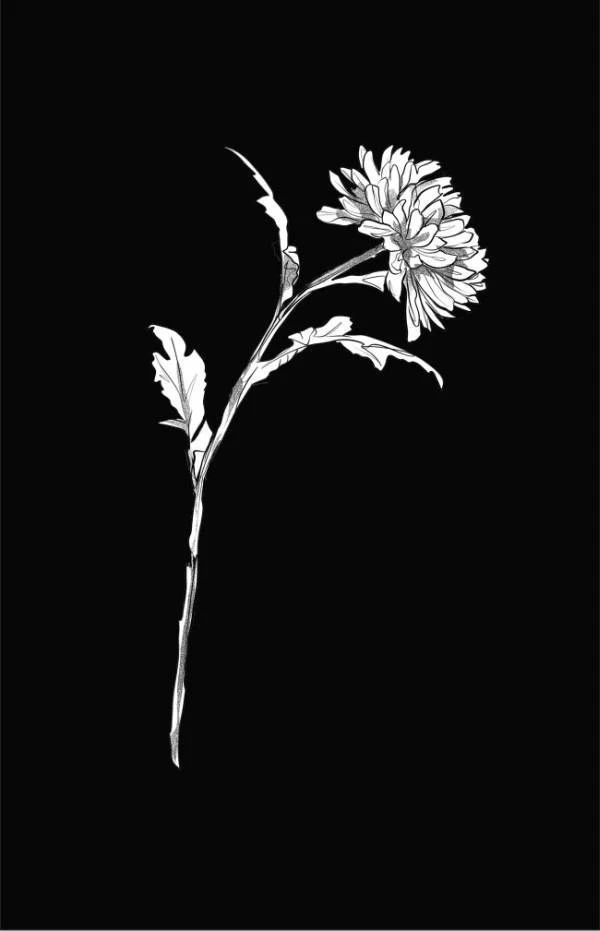 Иллюстрация к книге — Надеюсь, увидимся еще не скоро [i_002.webp]