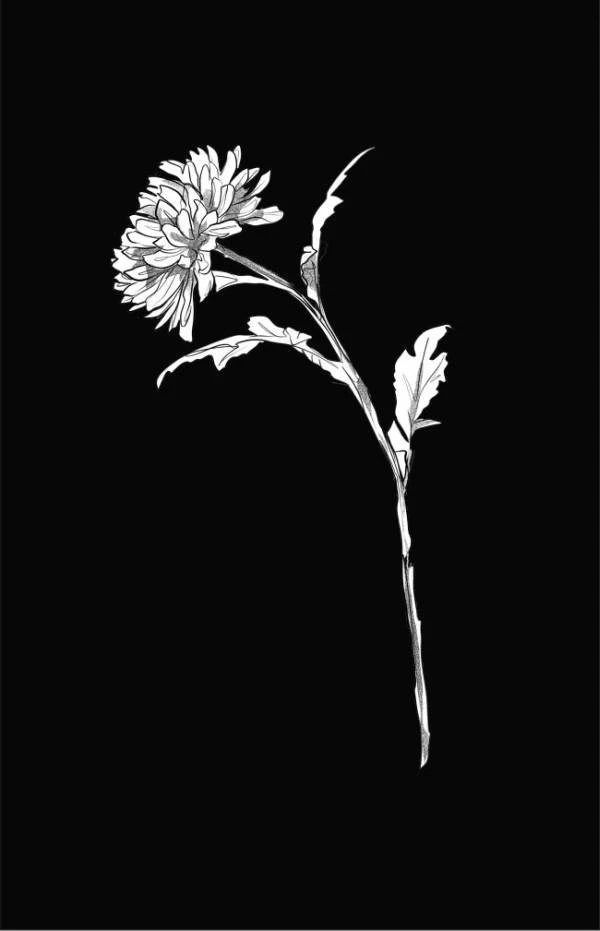 Иллюстрация к книге — Надеюсь, увидимся еще не скоро [i_007.webp]