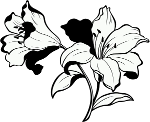 Иллюстрация к книге — Свет в тёмной башне [i_002.webp]