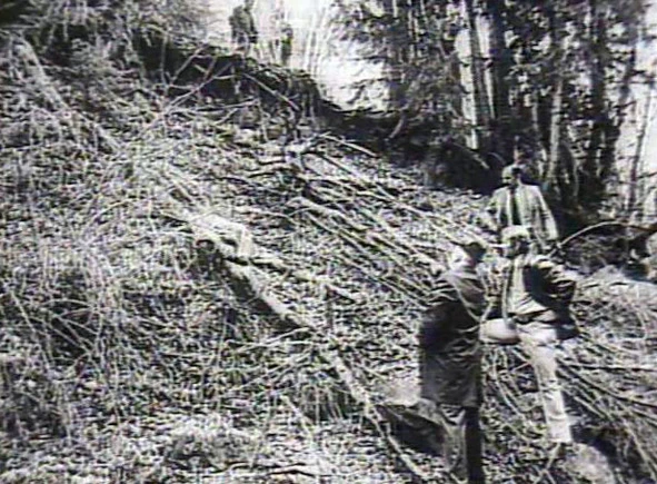 Иллюстрация к книге — Тед. Настоящая история самого знаменитого серийного убийцы Америки. Книга I [book-illustration-41.webp]