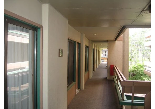 Иллюстрация к книге — Тед. Настоящая история самого знаменитого серийного убийцы Америки. Книга I [book-illustration-57.webp]